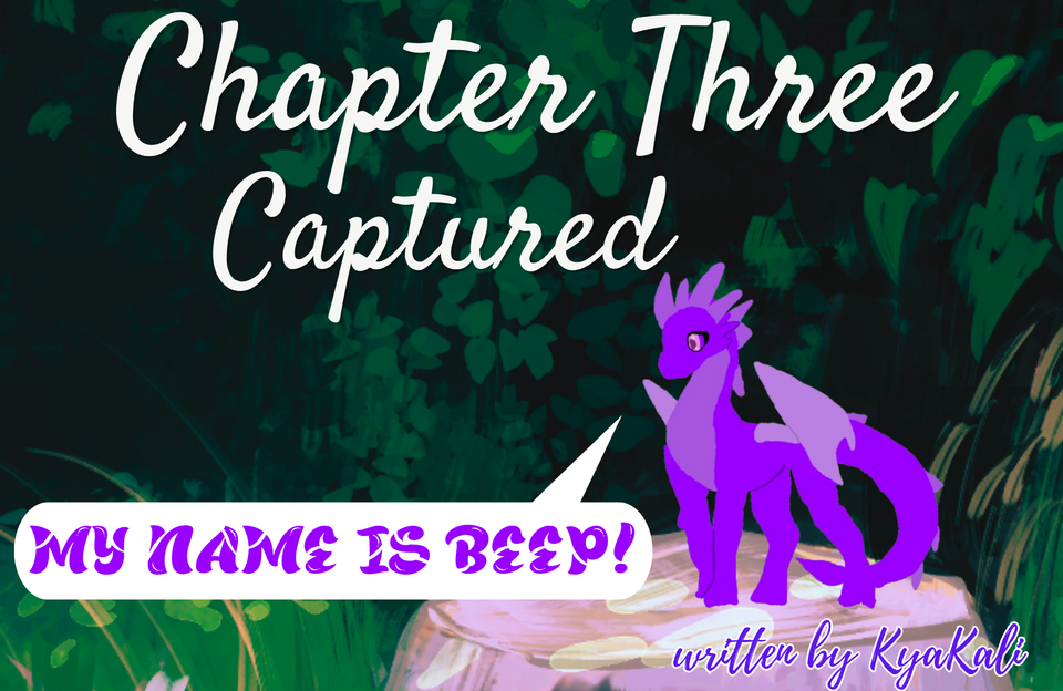 Chapter 3: Captured